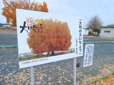PICT_20151215_164610