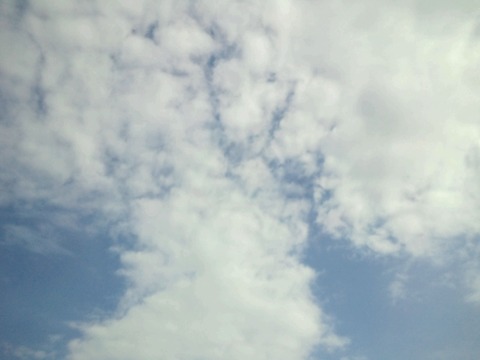 CA3H26440001