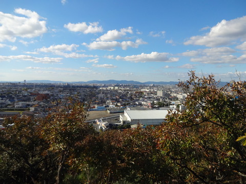 PICT_20151110_142406