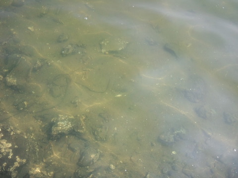 CA3H26410001