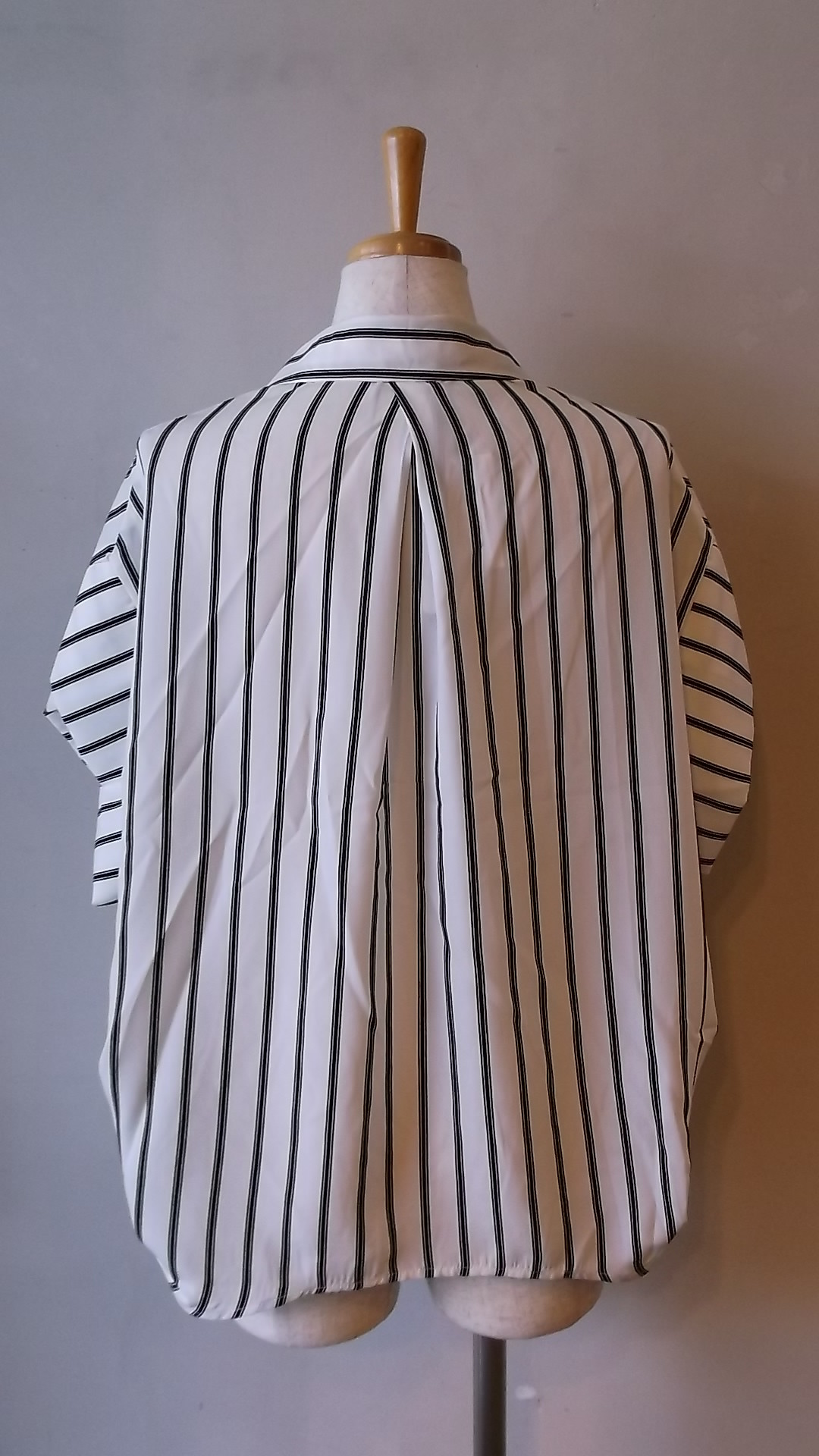 DSCF2983