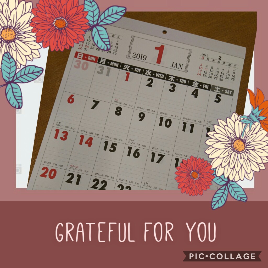 Collage 2018-11-1421_08_21