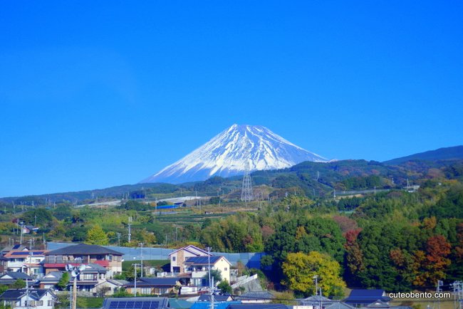 IMGP9490