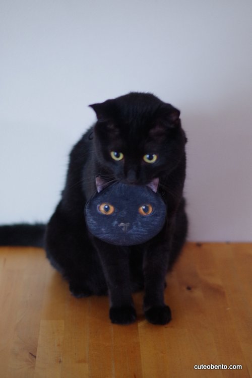 Seriaのハロウィーン 黒猫ミニポシェット きょうのおべんとう Powered By ライブドアブログ