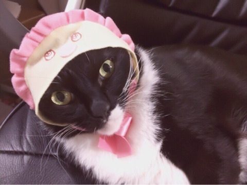 ȋȑq part 2 [f]ڋ֎~]©bbspink.com	->摜>4494 