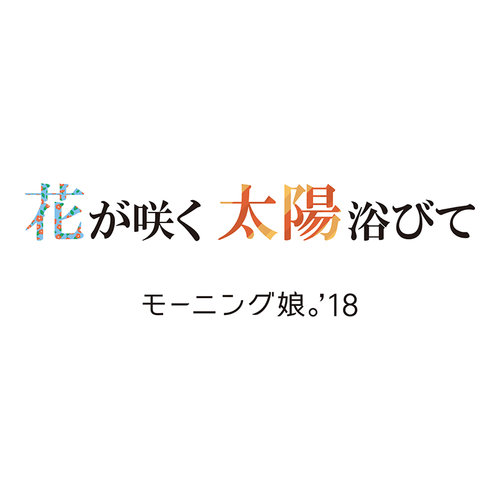 270857556b3f9d871a77ec95b46d22278235cdbb