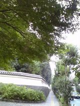 4088c367.jpg