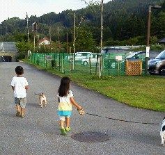 201208121741000