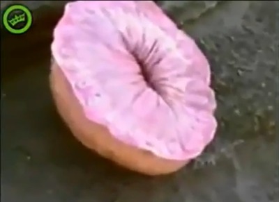 59