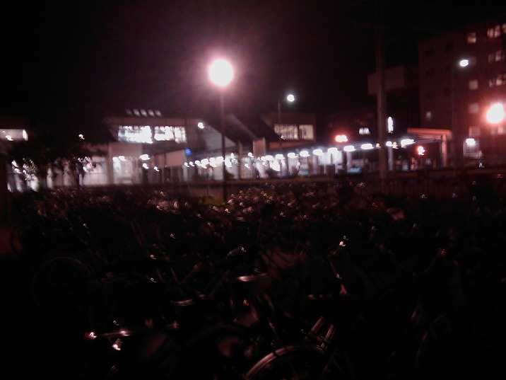 IMAG0310