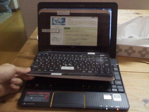 255424486