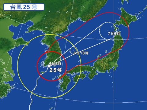 310261-AUT-025