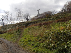 PA220095