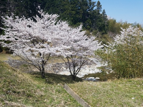20180329_131606