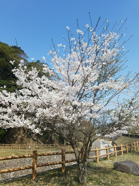 20180329_131516