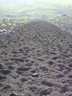 砂走り(富士山)