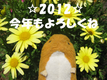 2012ǯ