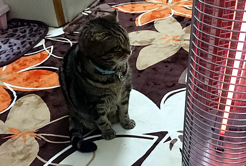 ・・・( ̄  ̄;) うーん