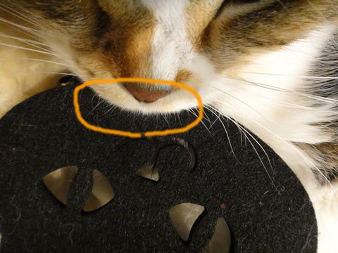 �ۤ�ۤ鎥����