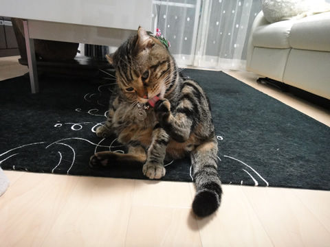 �����펥����