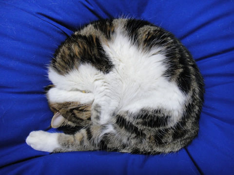 �Ǵ�����Ǥ��ޤ��厥����