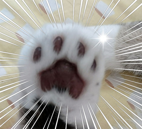 ¤Ú¤«¡¼¡ª