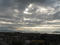 朝