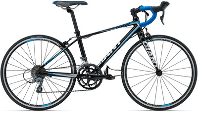 TCR_ESPOIR_24