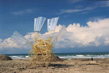 Strand beest