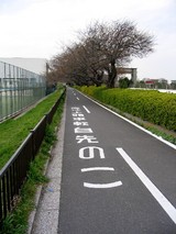 この先自転車頭上注意、危険は足元だけではない