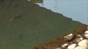 xDSC00475