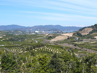 峠