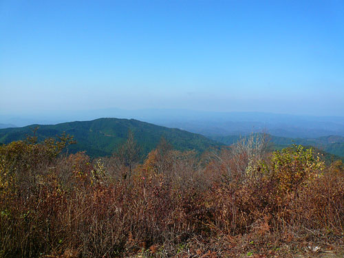 P1040910