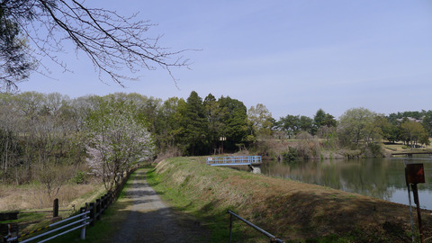 P1420841