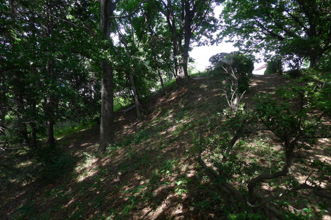 P1400584