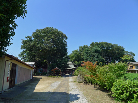 P1410240