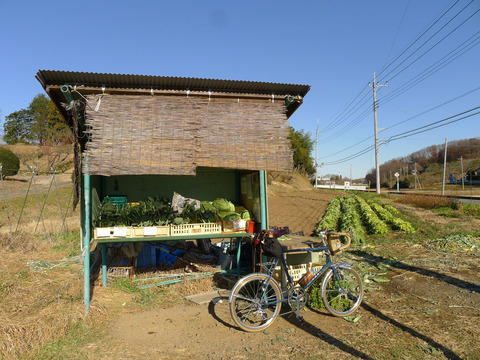 P1370311