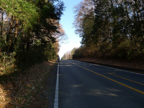P1370316