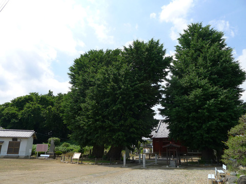 P1400570