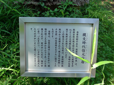 P1410248