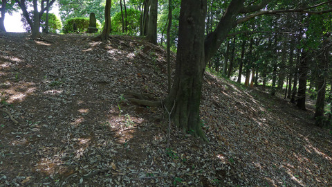 P1400576