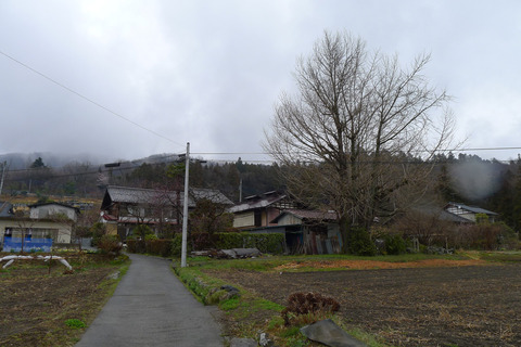 P1440348