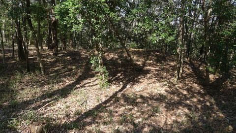 P1420579-8