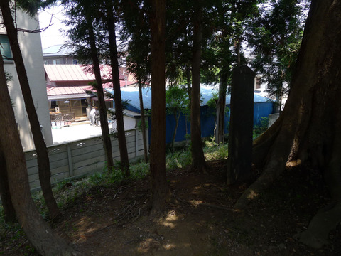 P1400679