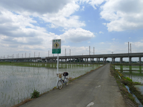 P1400538