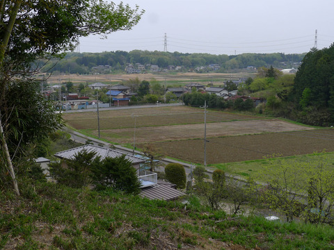 P1390881