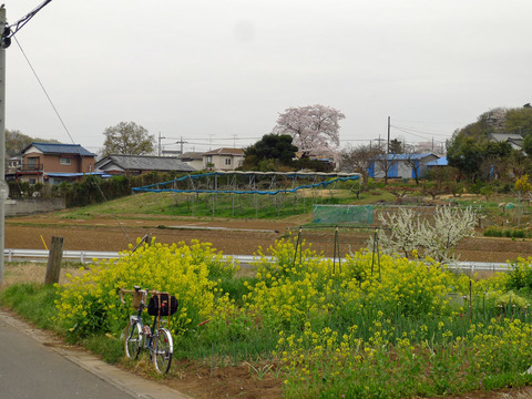 P1390431