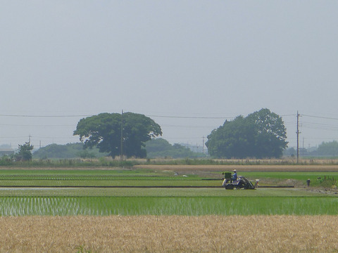 P1400667