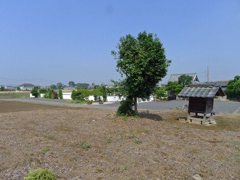 P1400623