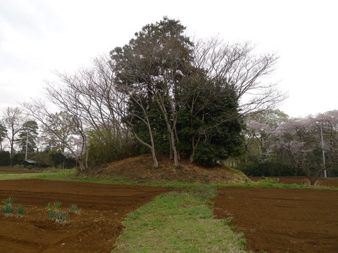 P1390520